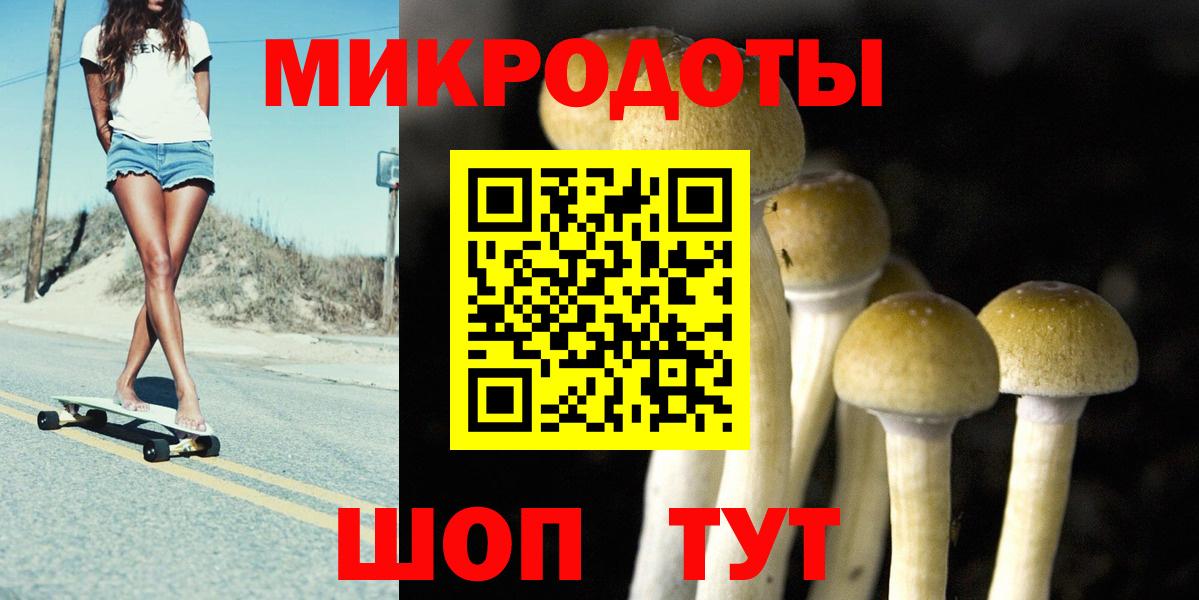 Самара  Галлюциногенные грибы Psilocybine cubensis  Псилоцибиновые грибы GOLDEN TEACHER  Вход с VPN 